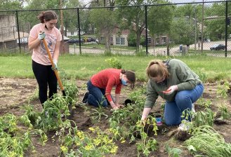 three students plant a pollinator garden