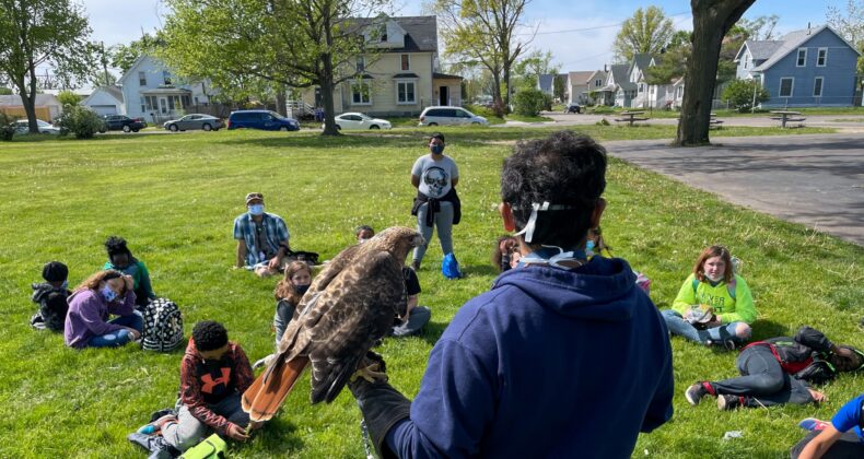 students watching person holding raptor